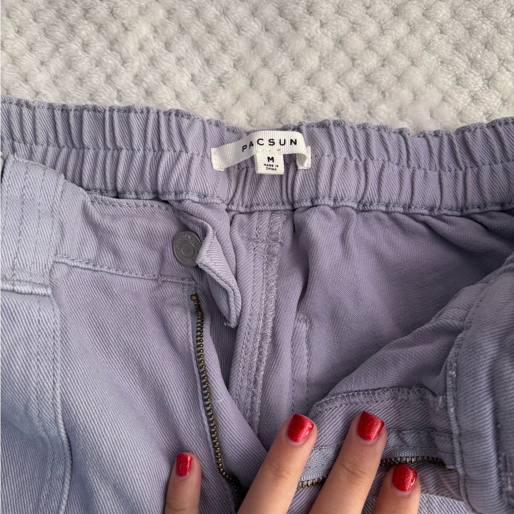 PacSun Lavender Cargo Skate Pants
